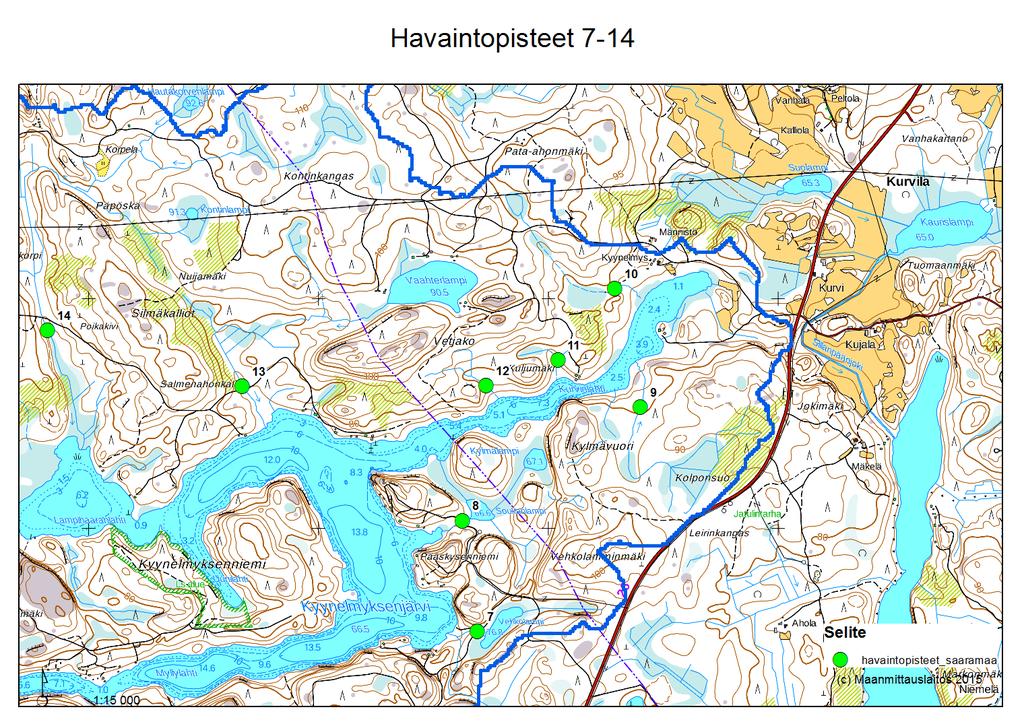 Maltti metsänhoidossa