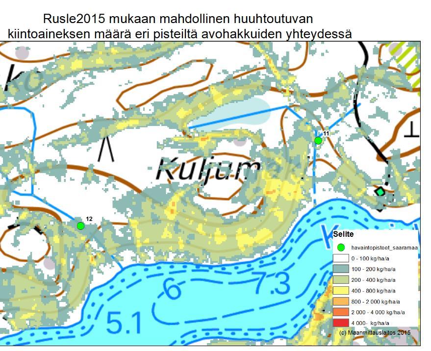 Taimikon alapuolella uoma jatkuu varttuneemmassa metsässä, missä siinä ei ole eroosion