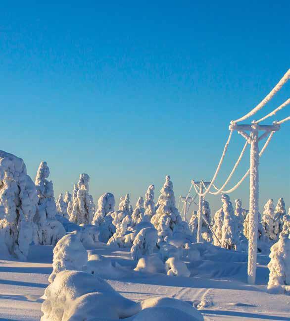 Kytevä 1 / 2019