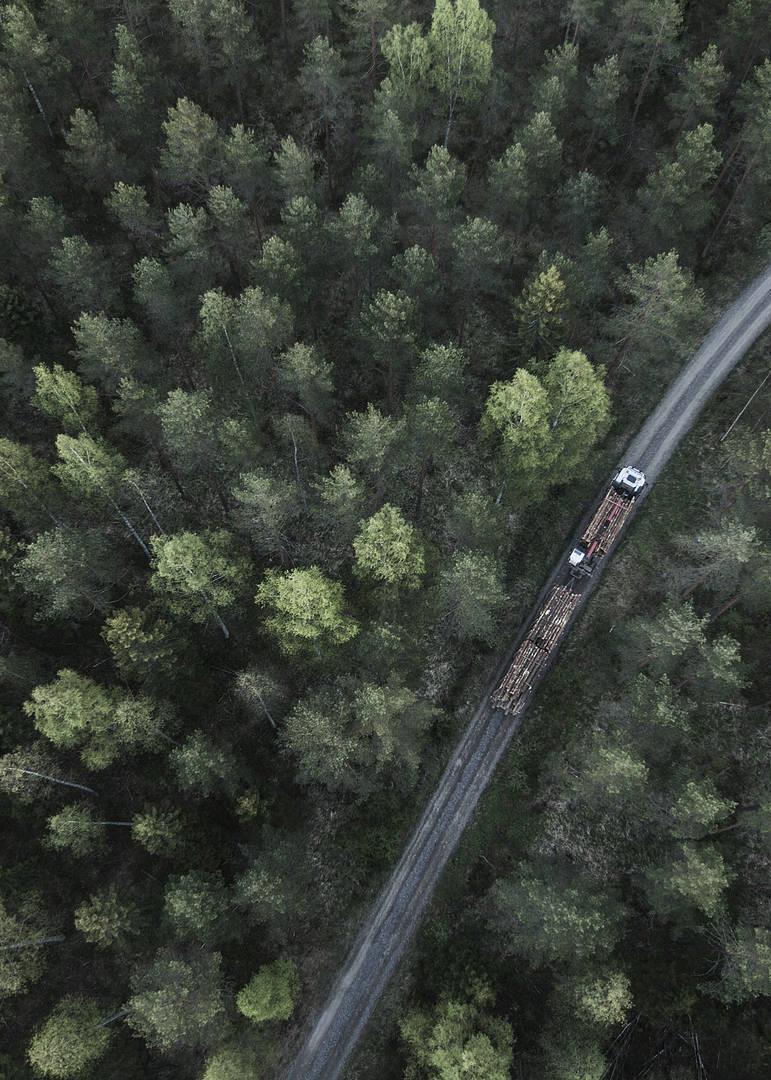 Metsä Fibre käynnistää kahden merkittävän investoinnin hankesuunnittelut Uusi biotuotehdas * Kemiin Investoinnin koko noin 1,5 miljardia euroa Sellun vuosittainen kapasiteetti 1,5 miljoonaa tonnia ja