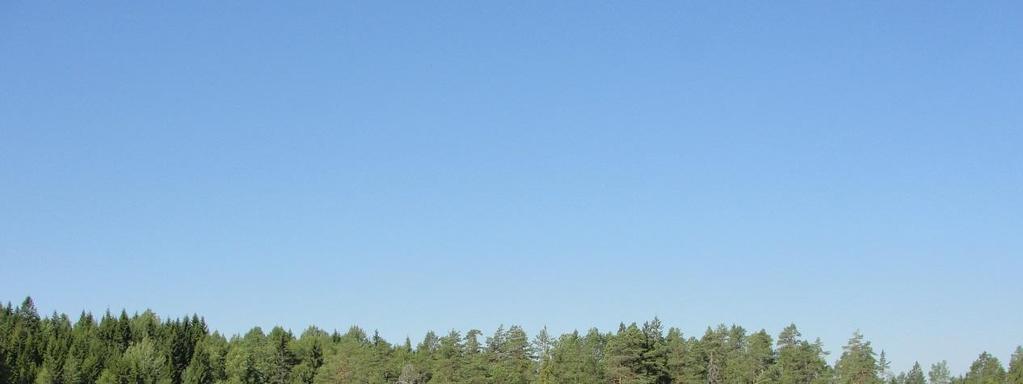 2 / 3 Saarlammen vesinäytteistä (18.7.2018) tehtiin rehevyyteen ja happitilaan liittyviä analyysejä mm.