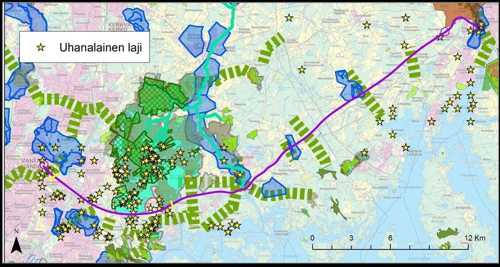 tavataan erityisesti suojeltavaa vuollejokisimpukkaa, joka on myös luontodirektiivin liitteiden IV ja II laji.