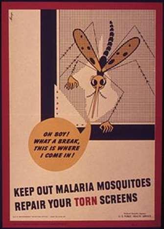 Maahanmuuttajan malaria voi olla oireinen tai oireeton, subkliininen malaria.