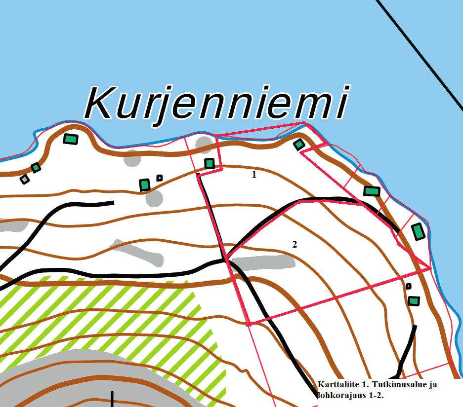 Suomen Luontotieto Oy KORPILAHDEN KURJENNIEMEN RANTA-ASEMAKAAVA ALUEEN