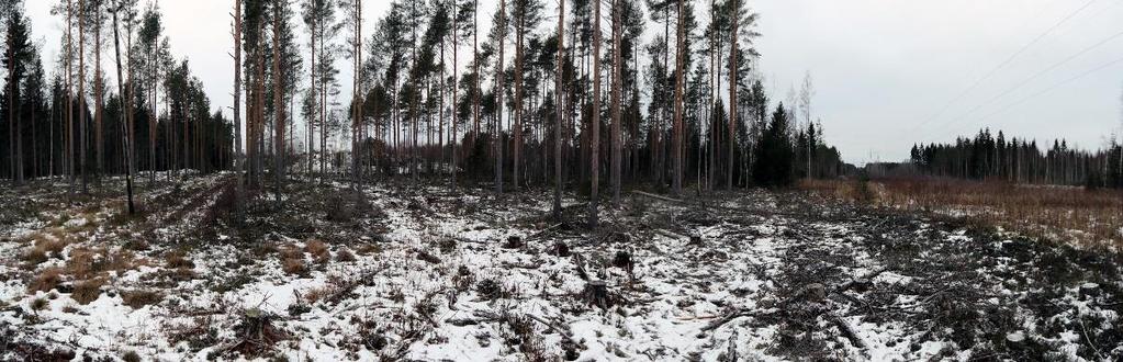 Kuva 6. Näkymä suunnittelualueen keskiosassa kulkevan 110 kv:n sähkölinjan alueelta.