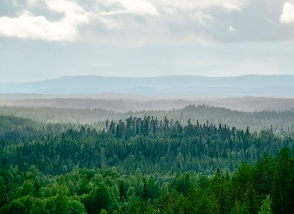 Sisältö 3 Kuntarahoitus lyhyesti 4 Toimitusjohtajan katsaus vastuullisuuteen 5 Vastuullisuuden avaintapahtumat 2018 6 Kuntarahoituksen strategia 7 Liiketoimintamalli 8 Vastuullisuus
