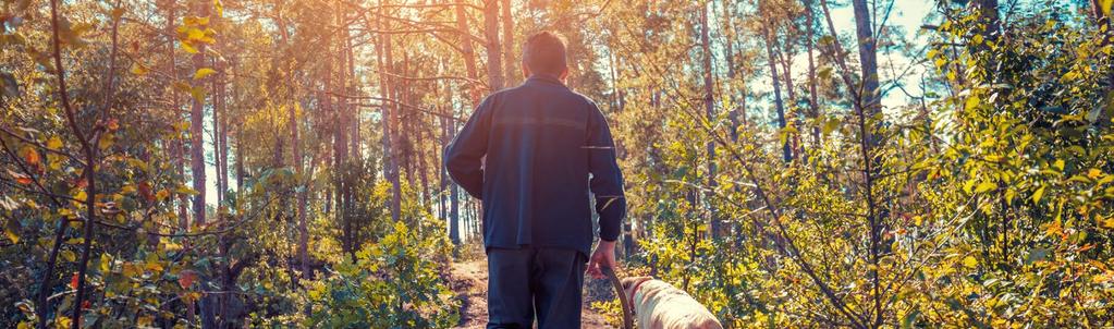 Henkilöstön työhyvinvoinnin kehittäminen Työntekijöiden sukupuolijakauma Esimiesten sukupuolijakauma Hallituksen sukupuolijakauma 2018 53 47 2017 52 48 2016 2015 2014 2013 57 56 60 61 43 44 40 39 0