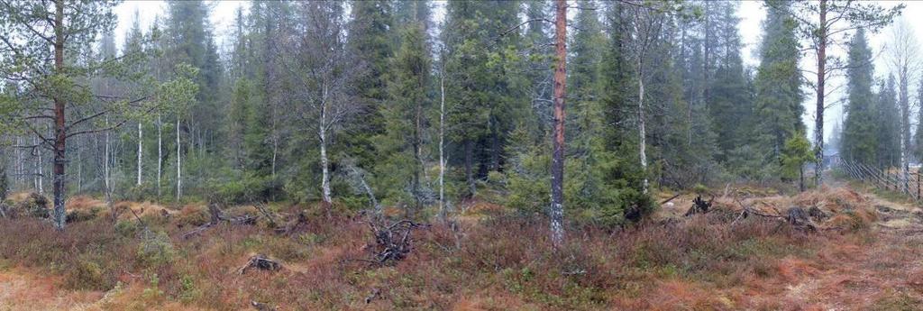 Vaikutukset luontoon ja luonnonympäristöön Rakentaminen muuttaa hieman alueensa maa- ja kallioperän pintakerroksia, mutta hyvin rajoitetuissa kohdissa.
