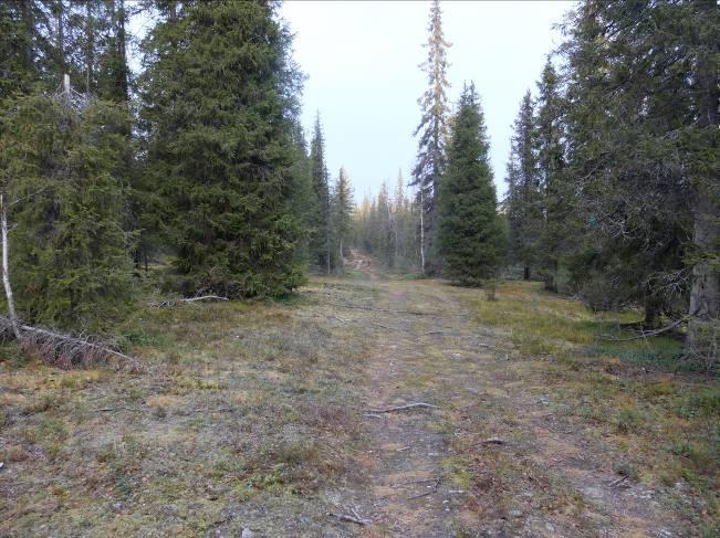 Sisäistä tiestöä on parannettava ja lisättävä jonkin verran rakentamisen edistymisen mukaan. Tiestö toteutetaan vaatimukset täyttävällä tavalla.