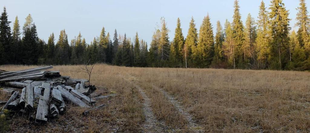 Kaavatyön yhteydessä on luontokohteet