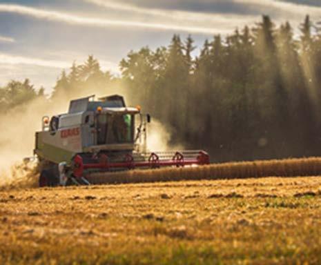 8 rekkaa viljan kuljetuksessa Viljan loppukäyttäjänä 86