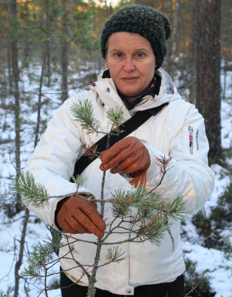 Valopuilla huonompi sieto- ja elpymiskyky