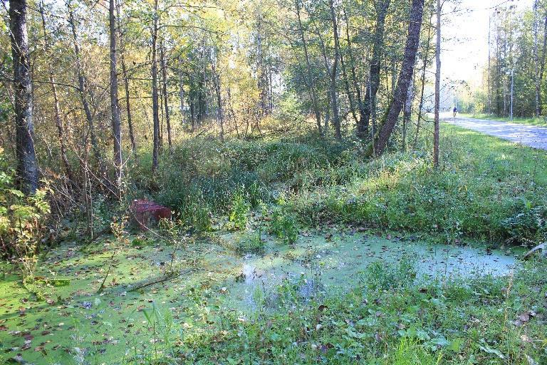 Tieplotti Tieplotti sijaitsee Tarvasplottia vastapäätä uuden kevyenliikenteen asfalttitien toisella puolella (Kuva 1).
