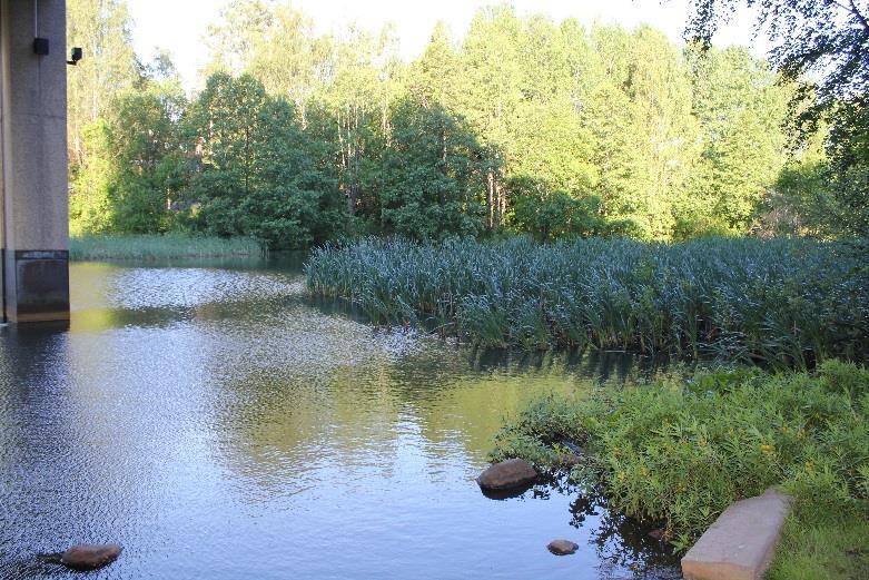Koneenlampeen kohdistuu lähitulevaisuudessa voimakkaita muutospaineita, koska entinen toimitilarakennus aiotaan muuttaa asuinrakennukseksi ja nykyisen rakennukseen kylkeen rakennetaan rivitaloyhtiö.