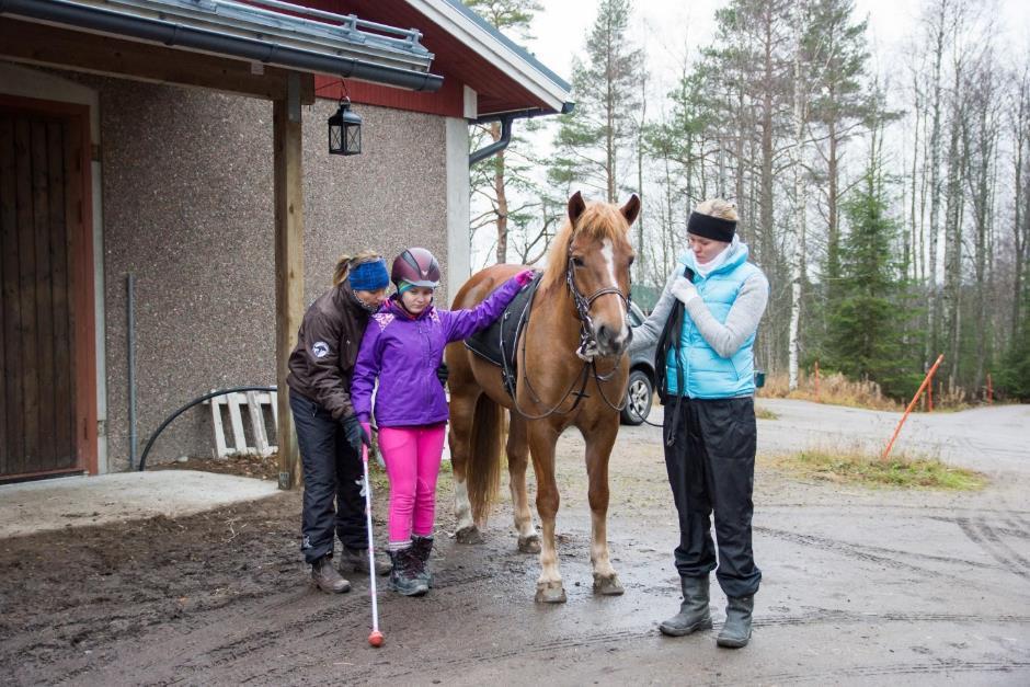 seuraaminen tallissa