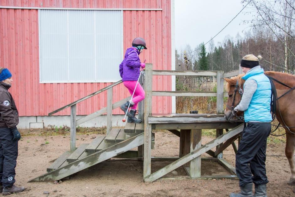 13 4.1 Apuvälineet Varsinaisia apuvälineitä sokean ratsastusterapiaan ei ole, mutta apuvälineitä ja merkkejä voidaan soveltaa ratsastusterapiaan soveltuviksi.