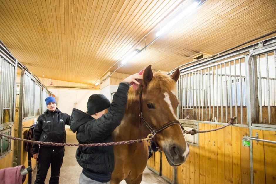 Harjaus aloitetaan