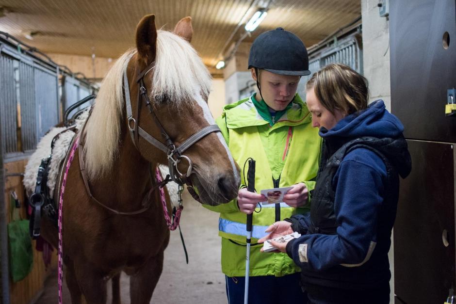 5 3. Sokean ratsastusterapia Ratsastusterapian tavoitteet voivat olla autismikuntoutuksessa, liikuntavammaisen CPlapsen kuntoutuksessa tai etenevää sairautta sairastavan nuoren kuntoutuksessa, mutta