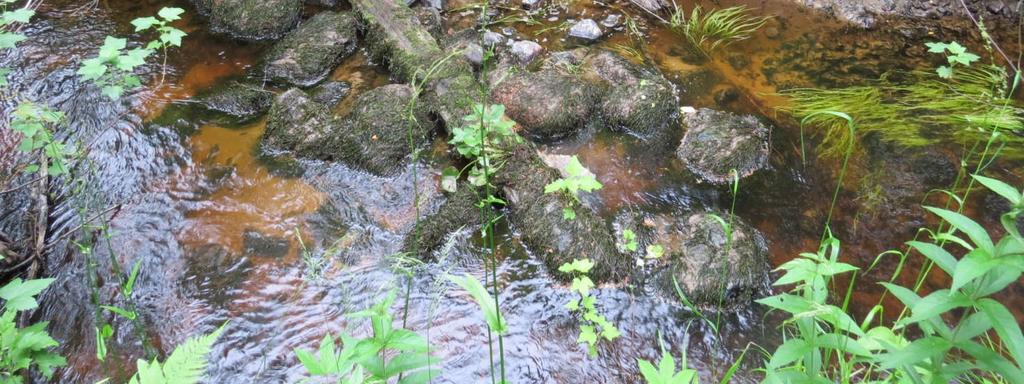 Tarkasteluni painottui metsäalueisiin, jotka erottuivat hyvin ilmakuvista. Ilmakuvista rajasin rakentamattomat metsäkuviot ja hahmottelin käytäviä.