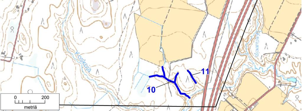 11 Koskojan itäinen sivuhaara (osa-alue 13, kuvat 1, 15 ja 16) Koskojan itäisempi sivuhaara Hämeenlinnantien tuntumassa on lähinnä kosteapohjainen notkelma.