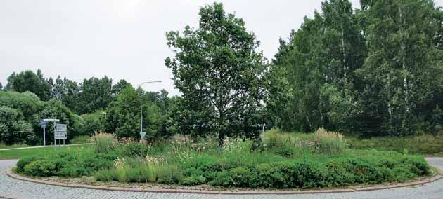 hyvin. Perennoista tullutta kuihtunutta lehtimassaa ei ole tarvinnut leikata tai siimata. Kuihtunut kasvillisuus maatuu kasvupaikalle luonnollisesti ja peittyy uudella kasvustolla varhain keväällä.