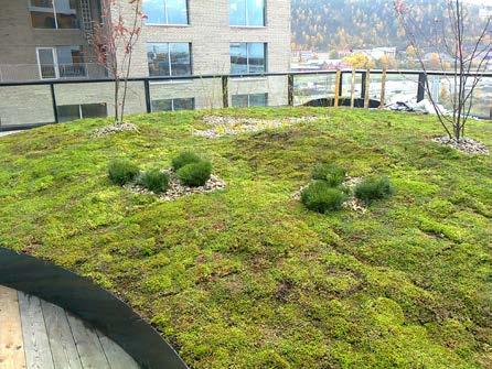Puutarhatyyppinen katto: Kattopuutarha Bjørvika, Oslo Tuote: Leca 10 20 mm ja 4 10 mm Sijainti: Oslo, Norja Viherkattojen ja kattopuutarhojen avulla