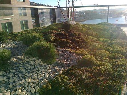 Bjørvikassa, Oslon uudessa ja nykyaikaisessa kaupunginosassa, viranomaiset ovat määränneet, että puolet katoista on rakennettava viherkatoiksi.