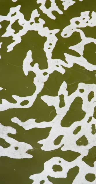 Jätevesi Kunnallinen liitäntä tai vesihuolto-osuuskunnan viemäri Jos kiinteistö on liitetty tonttiviemärillä kunnalliseen tai vesihuolto-osuuskunnan viemäriverkostoon, kiinteistön jätevedet