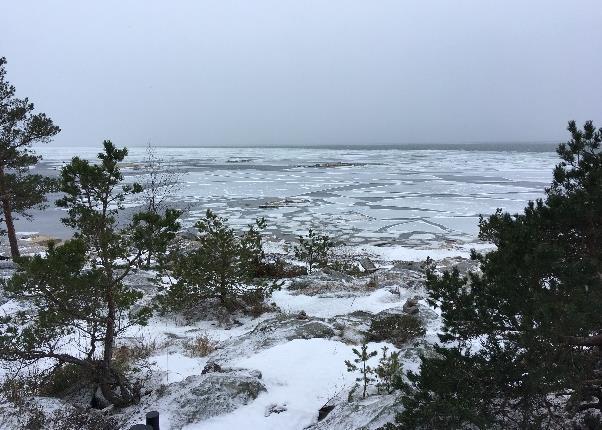 Rakennettu ympäristö Suunnittelualueella on kiinteistöllä