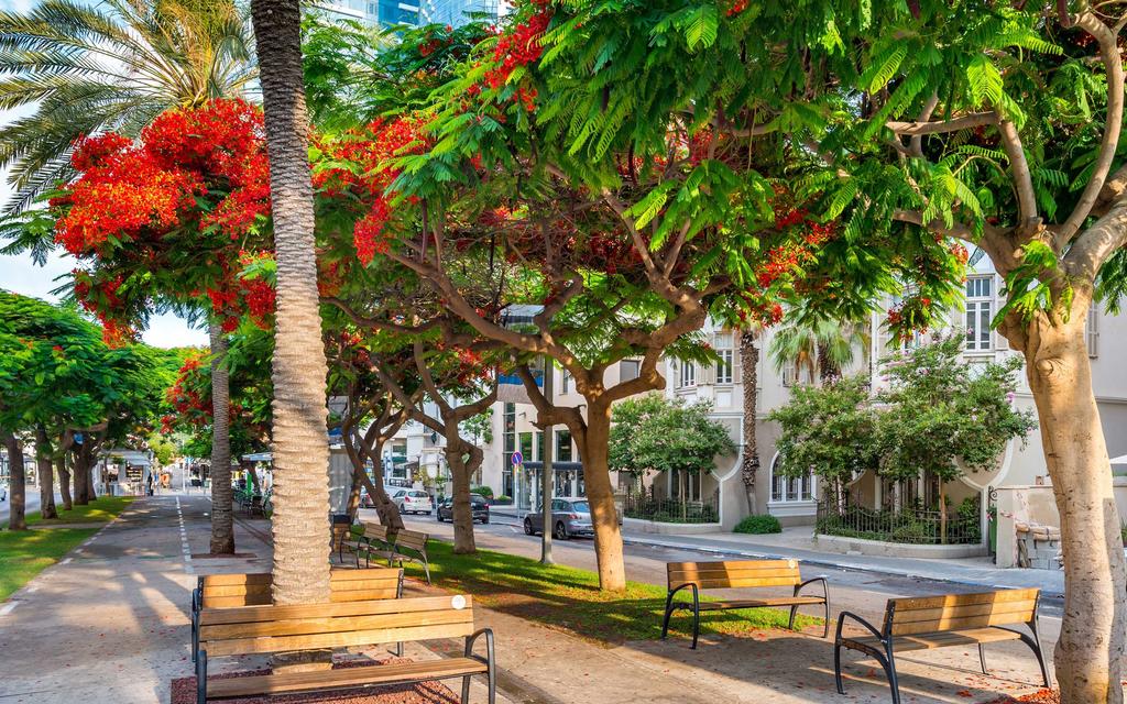 Pitkällä viikonloppumatkalla Tel Aviviin pääset tutustumaan monikerroksiseen Israeliin; moderniin ja trendikkääseen Tel Aviviin sekä menneen ajan tunnelmaa huokuvaan Jaffaan.
