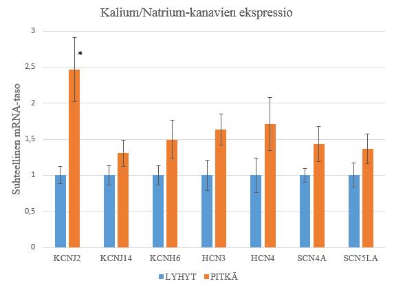 että vain KCNJ2-geenillä oli tilastollisesti merkitsevä ero ryhmien välillä (p=0,010).