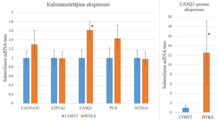 adrenergisten reseptorien että hypertrofiamarkkerien ekspressiotasoissa ei ollut tilastollisesti merkitsevää eroa ryhmien välillä. Transkriptiotekijöitä oli yhteensä kolme: GATA4, IGF1 ja MEF2C.