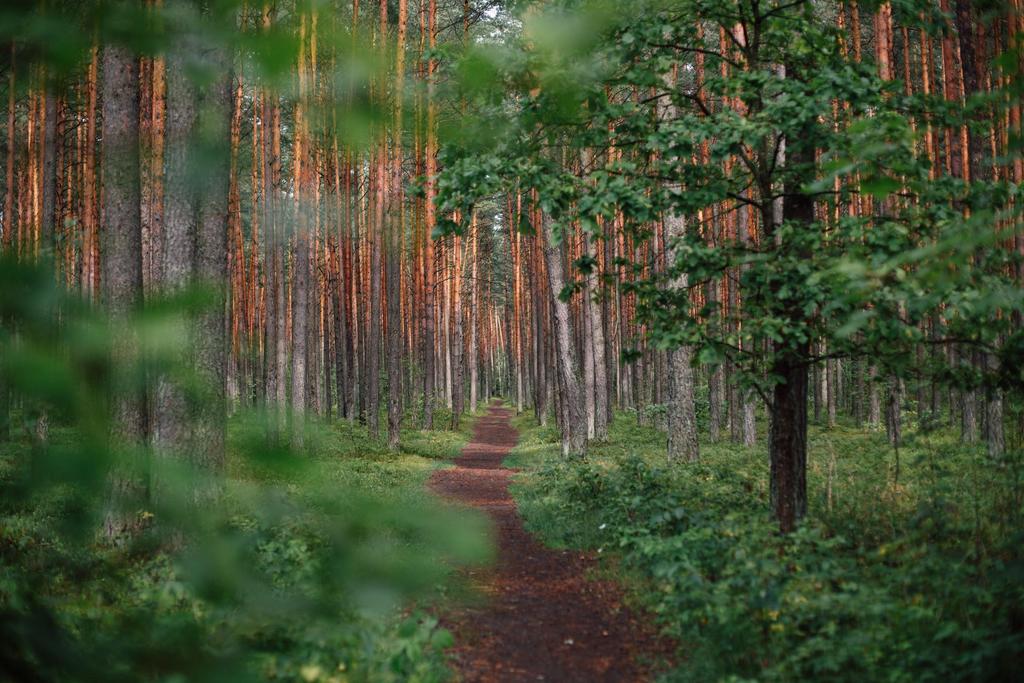 Suositukset kestävän