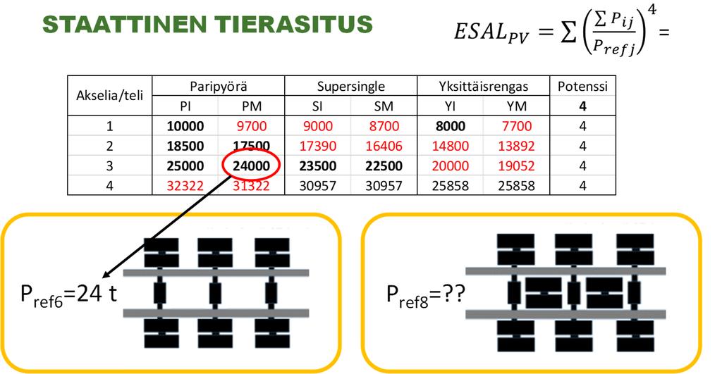25 6 Tierasitus 6.