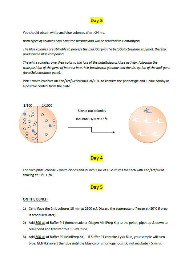 Appendix