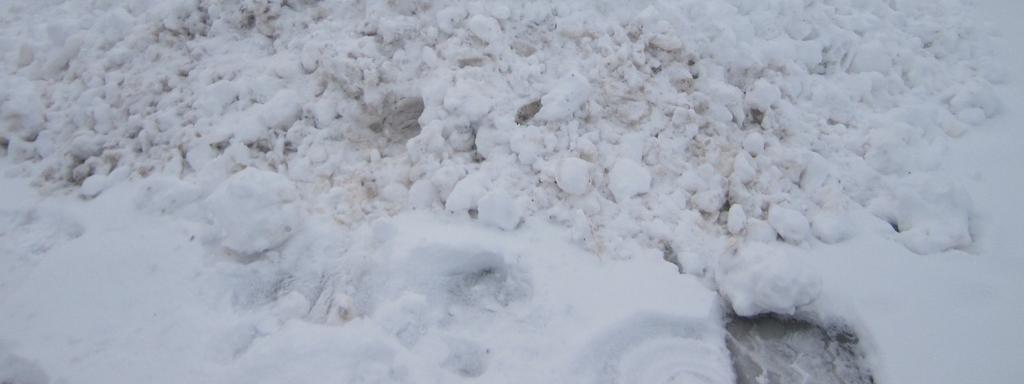 Lähiöalue: Käpylä