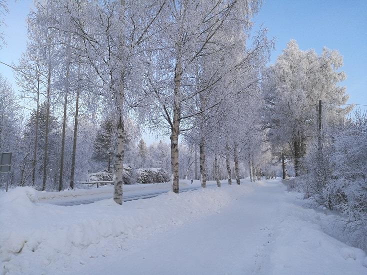 3. Suunnittelualue 3.1 Alueen yleiskuvaus Suunnittelualue sijaitsee Iin keskustan alueella. Alueen pinta ala on noin 1,5 hehtaaria. Alue tukeutuu Iin kuntakeskustan palveluihin.