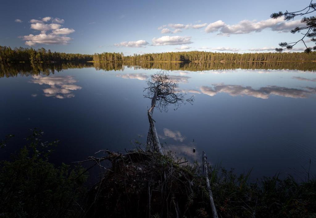 TILINPÄÄTÖS vuodelta