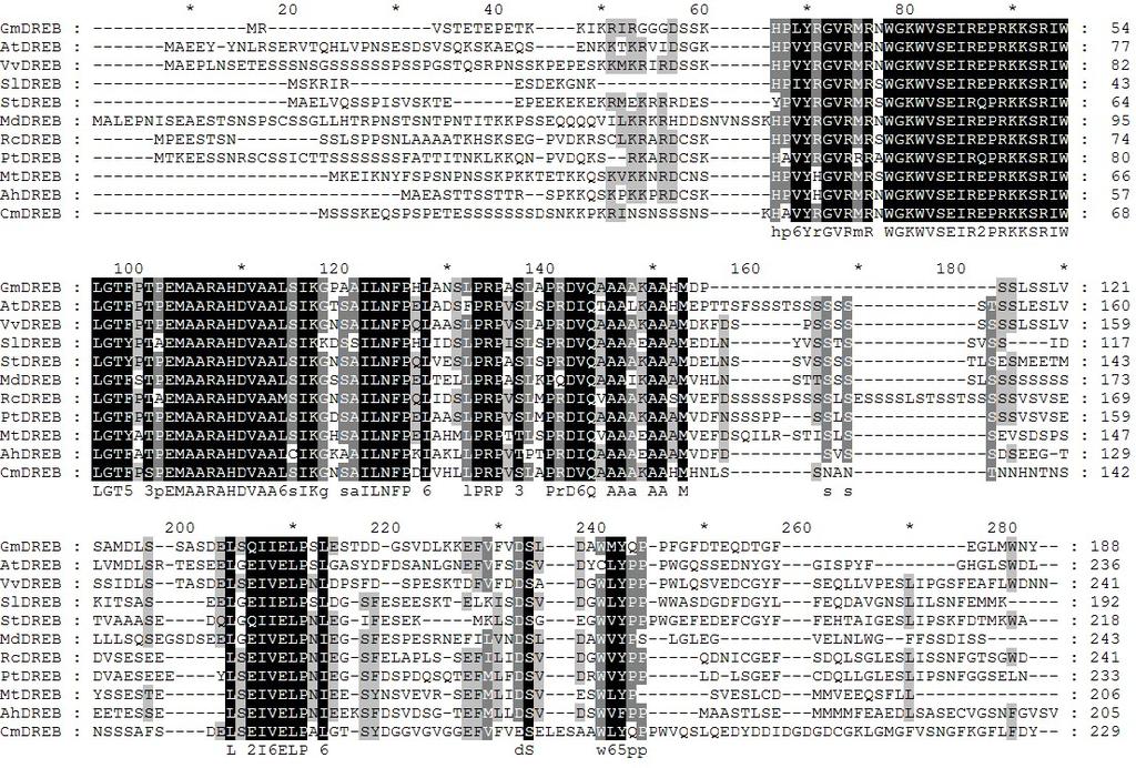 Fig. S2 Multiple alignments of the predicted protein sequence of SlDREB and DREBs from other plants. A.