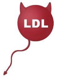 LDL ja HDL -kolesteroli Huono kolesteroli (LDL) kulkeutuu verestä verisuonten