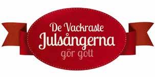 Kyrkorna i Egypten har idag en historisk möjlighet att vittna om Guds kärlek genom handling. Kyrkan har antagit utmaningen. Tidigare var de kristna rädda och instängda i bön i sina kyrkor och hem.