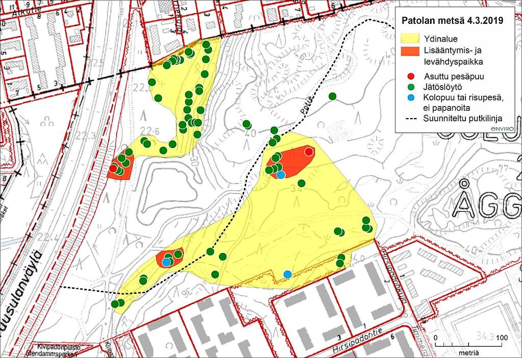 Kuva 2. Liito-oravan jätöslöydöt, ydinalueet ja lisääntymis- ja levähdyspaikat Patolan metsässä. Suunniteltu putkilinja (maaliskuu 2019) on merkitty kuvaan katkoviivalla.