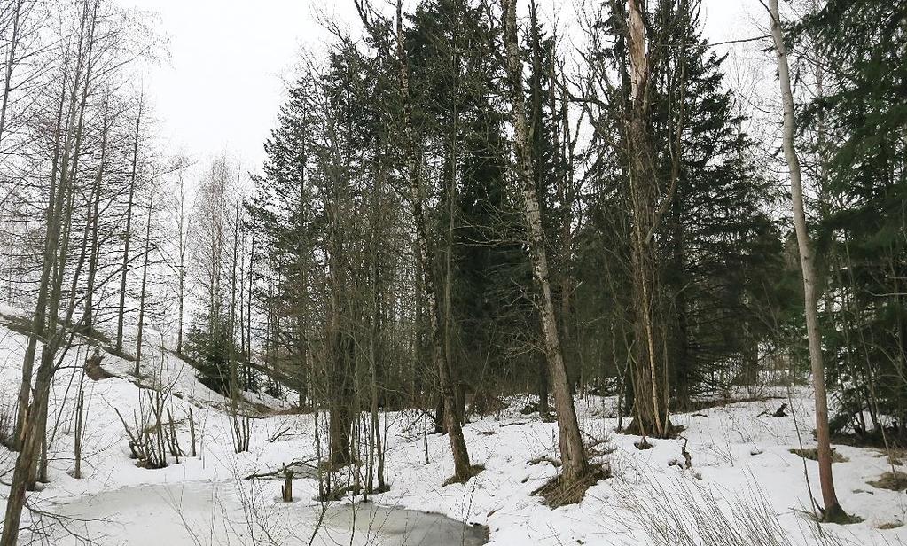 Pohjoispuolella on tiiviisti rakennettu pientaloalue. Lumenvastaanottopaikan itäpuolitse on liitooravalle sopiva kulkuyhteys eteläisemmälle ydinalueelle.