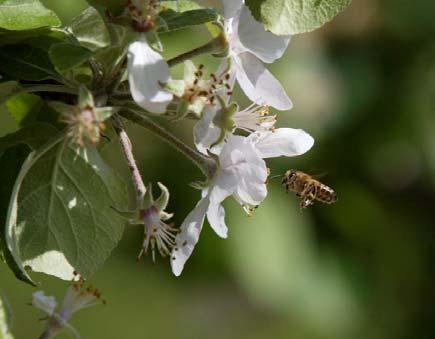 hyvinvointia aineellisia ja aineettomia sekä markkinoilla