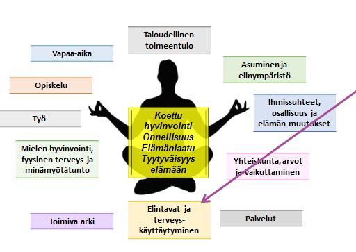 Hankkeen maku-sote-yhteys, PPSHP Hankkeen linkittyminen makusoteuudistustoimiin Hankkeen tuotosten juurruttaminen osaksi maku-sote-uudistusta Pohjois-Pohjanmaalla hyvinvointiyhteistyön kehittäminen