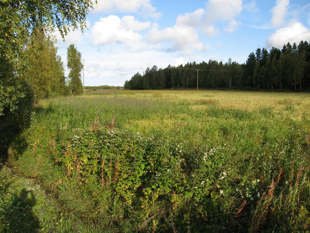 Täydentävät ehdot, kasvinsuojelu jos useampi lohko tälläinen