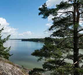 d3 17 SARVIKALLIO Järven länsirannalla sijaitseva Sarvikallio oli keskeinen paikka Tuusulanjärven taiteilijayhteisön piirissä.