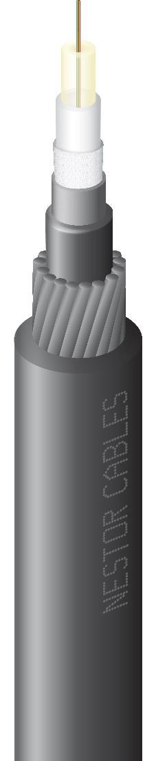 Jatkoskotelon ominaisuuksia: - Kehitetty NC-400 yleisjatkoksen pohjalta - Sisältää kaksi läpivientiä vesistökaapeleille, sisähalkaisija 16 mm ja yhden läpiviennin maakaapeleille, sisähalkaisija 23 mm