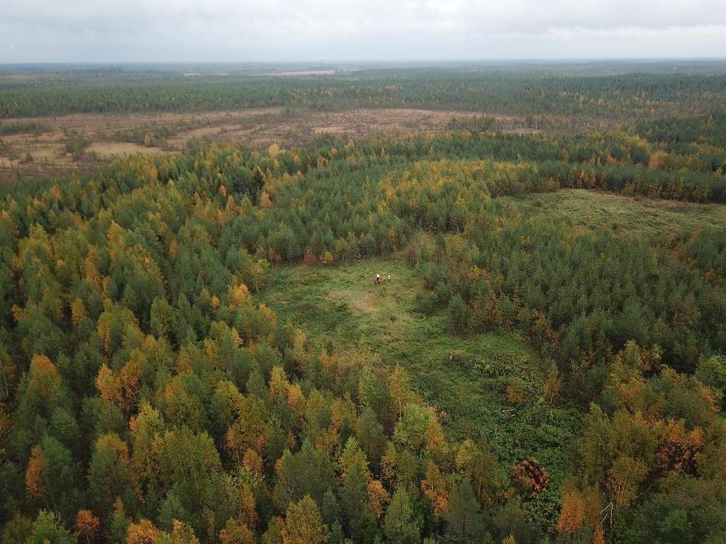 Nonfood-kasvatuskokeet kierrätysmateriaaleja hyödyntäen Toteutus suljetulla kaatopaikalla Välimaan kiertotalousalueella Kasvatuskokeilujen tulosten hyödyntäminen erilaisissa maisemointikohteissa