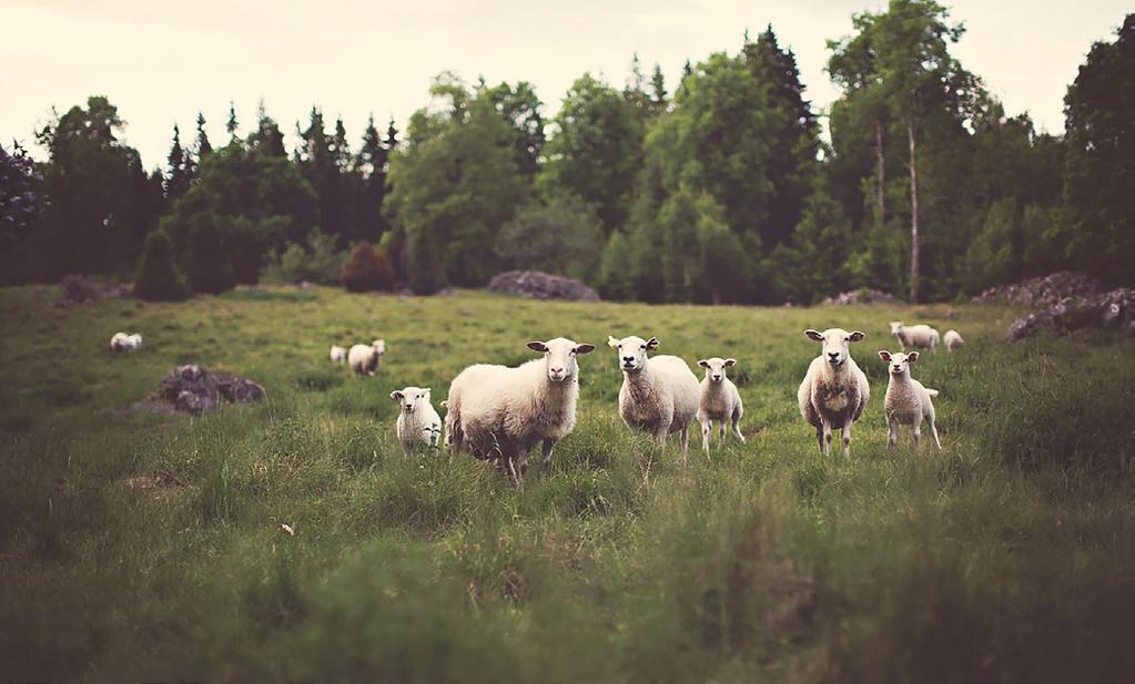 Tarvittavan muutoksen luonne vaihtelee eri yhteyksissä sekä kehitys- D4 maiden ja kehittyneiden maiden välillä.